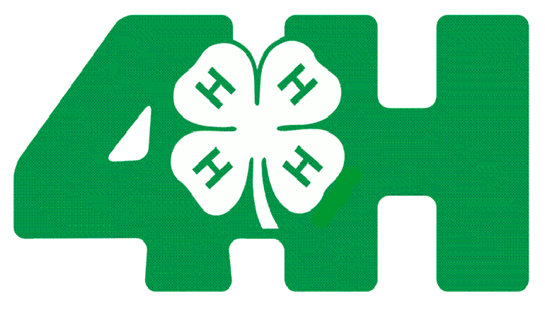eight-year-study-shows-impact-4-h-has-on-youth