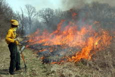 Prescribed Fire Workshop Burning