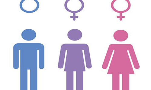 Transgender bathroom and sexual orientation