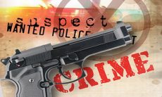Gun Crime or Firearm