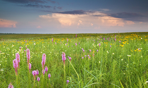 Dunn Ranch Prairie