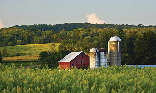 Farm and farmland news graphic