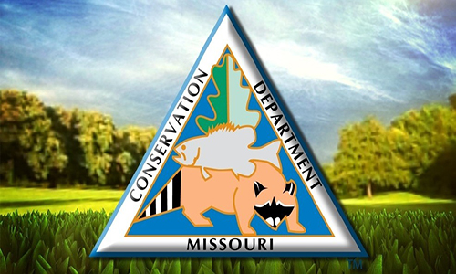 Wildlife  Missouri Department of Conservation