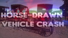 Horse Drawn Vehicle Crash