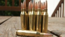 Hunting Ammo