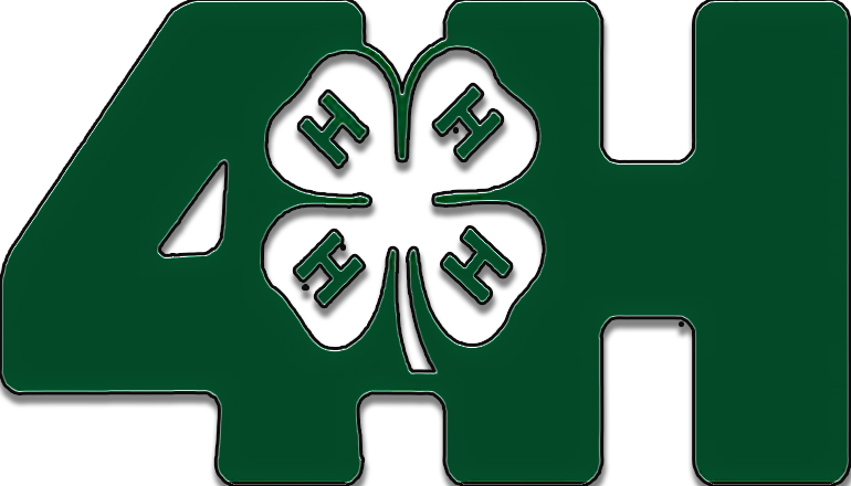 4-H Graphic