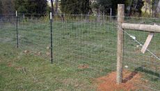 Fence on Farm