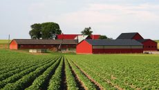 Farm News