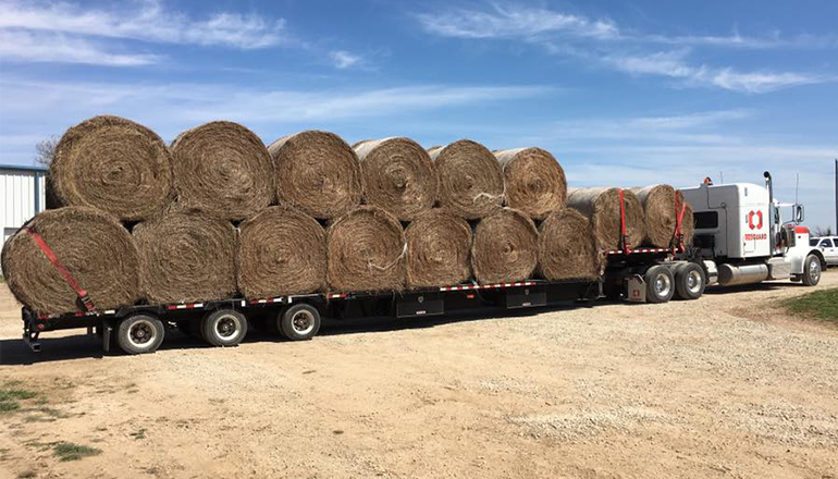 Truck with large bales of hay