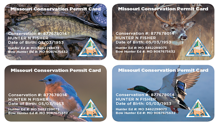 MDC Plastic permit cards