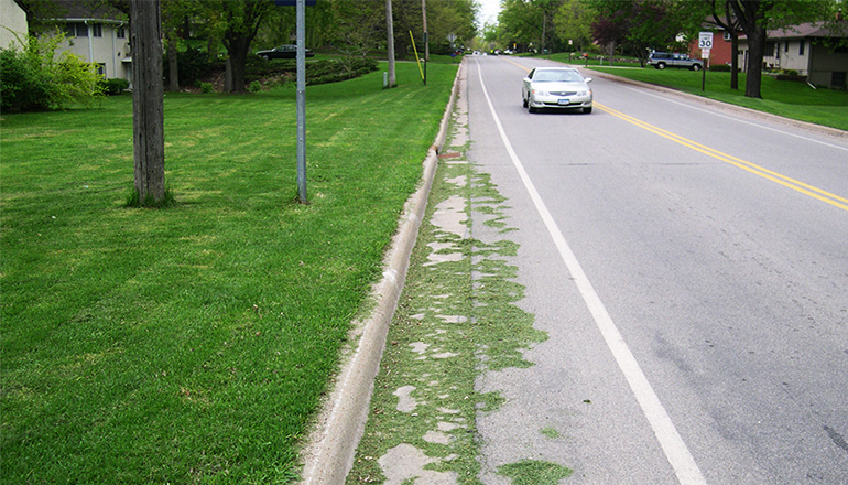 Grass clippings in street