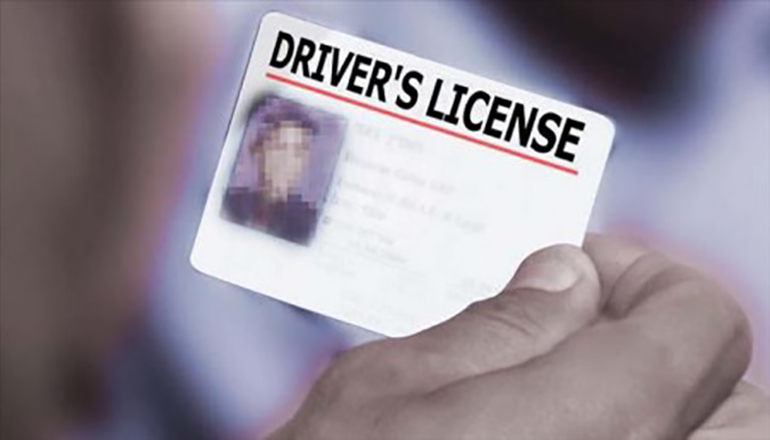 Driver's License