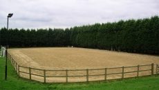 Saddle Club Arena