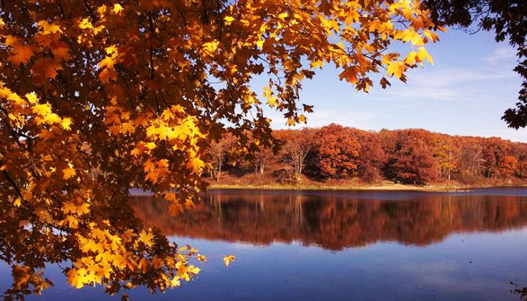 Fall Color at Crowder State Park