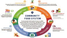 Farm to School Month