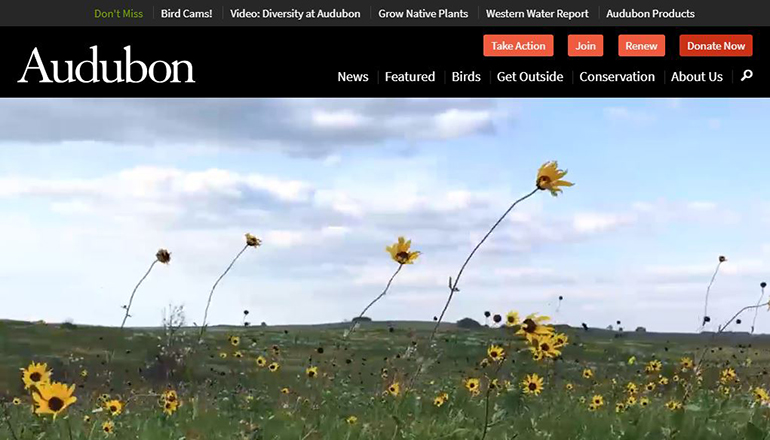 Audubon Society Website
