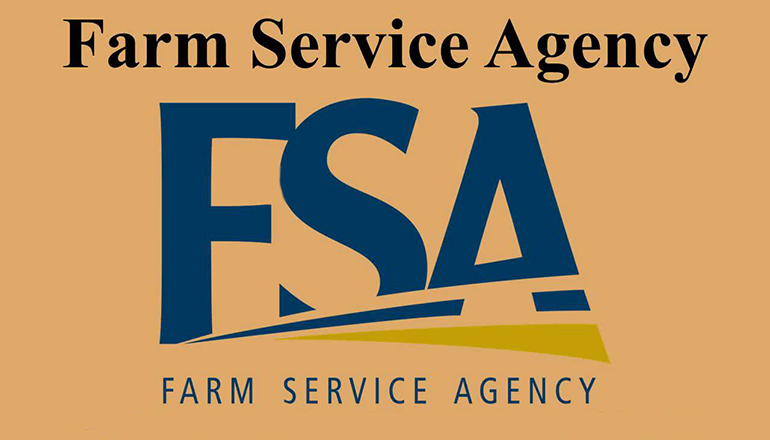 Farm Service Agency