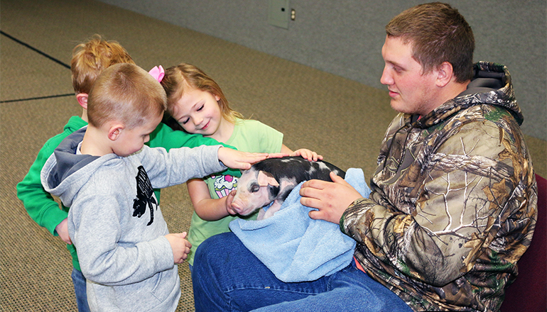 Preschool students learn about pigs
