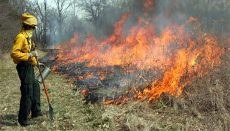 Burn Workshop (Photo courtesy MDC)