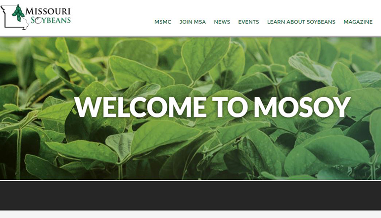 Missouri Soybean Association Website