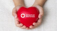 Hands holding Red Cross heart (website)