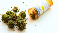 Medical Marijuana