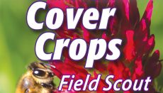 Cover Crops App Screenshot
