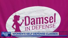 Damsel in Defense