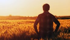 Farmer Standing in a Field