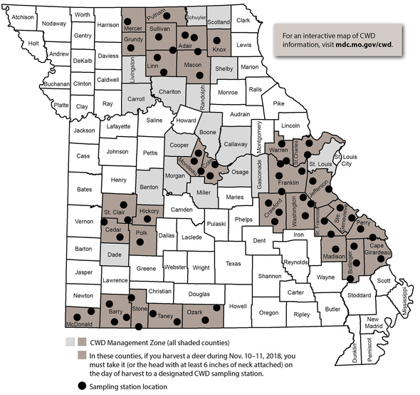 Missouri Department of Conservation sets CWD sampling efforts for deer season