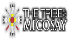 Mic-O-Say Logo