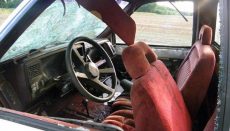 LCSO Seeks Tips on vandalism case
