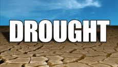Drought