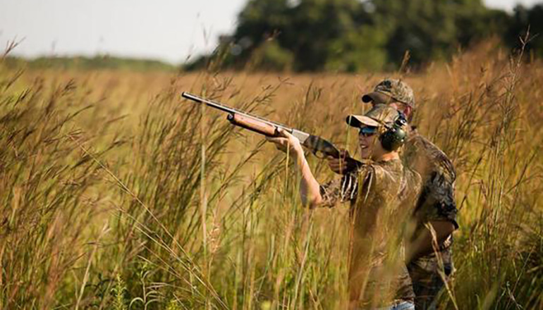 Dove Hunting