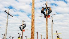 Electric Linemen on Utility Poles