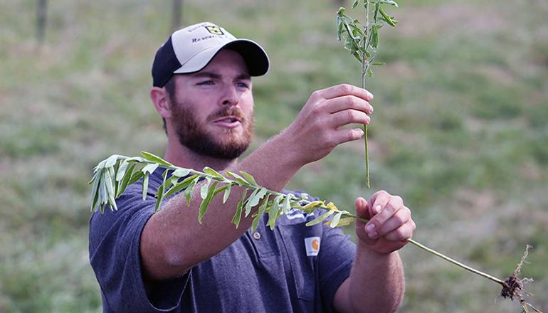 Sunn Hemp Research