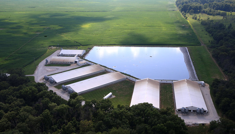 Smithfield Hog Farm with holding pond