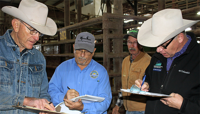 Farmers going over paperwork