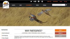 Pheasants and Quail Forever