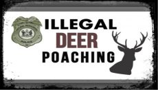 Illegal Deer Poaching