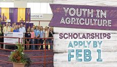Missouri State Fair Youth in Agriculture Scholarships 2019