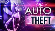 Auto Theft or Stolen Vehicle