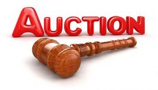 Gavel featuring Auction Graphic