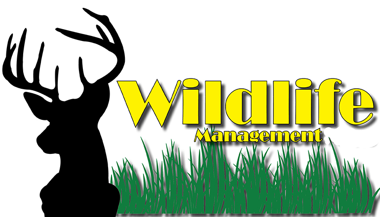 Tyler Phillips of Mound City receives second-place FFA Wildlife