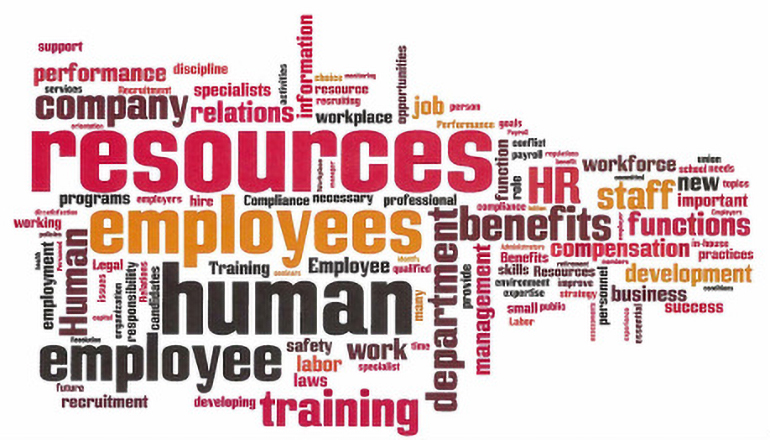 Employees, Resources, Company, HR, Human Resources, staff