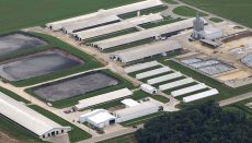Overhead view of CAFO