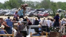 Amish Consignment Auction