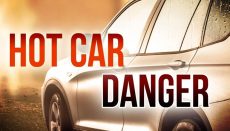 Hot Car Danger