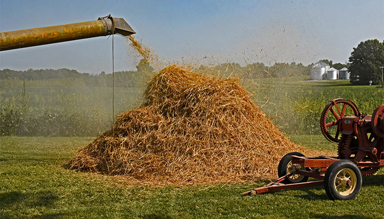 Annual Hickory Threshing and Tractor Show