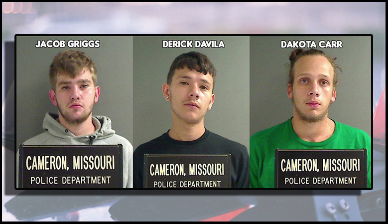 Three teens face charges following pursuit in Cameron Pursuit
